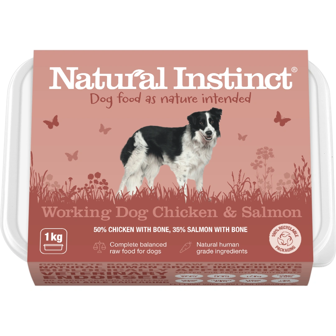 Chicken & Salmon: Fuel for the Working Dog! Power Up with Deliciousness!
